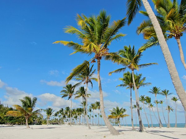 Discover Authentic British Metal Craft: An Immersive Experience for Travelers into Timeless Artistry