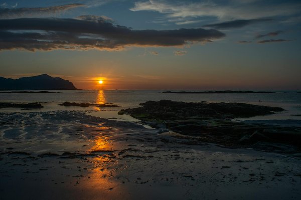 Unearth England's Castles and Witness Breathtaking Falconry Shows